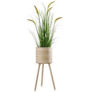 Obal Na Kvetináč Bamboo, V: 65,5cm