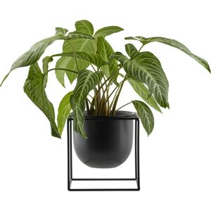 Obal Na Kvetináč Kumbo, V: 20,5cm