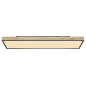 Stropní Led Svítidlo Doro, 80/20cm