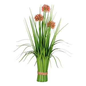 Trs Trávy Alium, V: 48cm