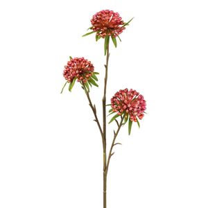 Umelá Rastlina Okrasný Cesnak, V: 62cm
